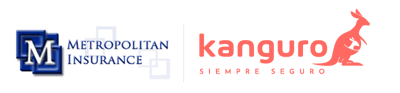 cobranding-kanguro-metro-1